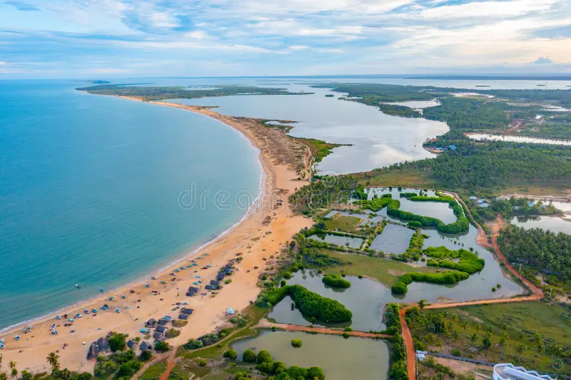 Kalpitiya Dolphin & Lagoon Safari